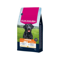 Eukanuba Hundefutter mit frischem Huhn für grosse Rassen Premium Trockenfutter für Junior Hunde 15 kg