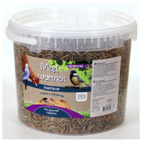 Esve Mehlwürmer In Eimer - Futter - 1 kg