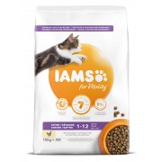 10kg Iams Cat Kitten/Junior mit Huhn (WEG=WEG, Max. 2 pro Bestellung)