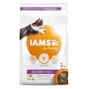 Iams Cat Kitten/Junior mit Huhn 3 kg (WEG=WEG, Max. 2 pro Bestellung)