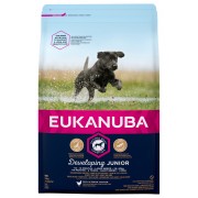 Eukanuba Hundefutter mit frischem Huhn für grosse Rassen Premium Trockenfutter für Junior Hunde 15 kg