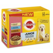 Pedigree Junior Multipack in Gelee 12x100 gr