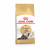 Royal Canin Persian Adult - Katzenfutter - 10 kg