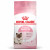 Royal Canin Mother & Babycat - Kitten-Katzenfutter - 2 kg