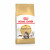 Royal Canin Maine Coon Adult - Katzenfutter - 2 kg