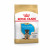 Royal Canin Deutscher Schäferhund - Welpenfutter - 12 kg