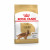 Royal Canin Cocker Adult - Hundefutter - 3 kg