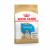 Royal Canin Bulldog - Welpen-Hundefutter - 3 kg
