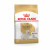 Royal Canin West Highland White Terrier Adult - Hundefutter - 1,5 kg