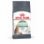 Royal Canin Digestive Care - Katzenfutter - 10 kg