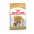 Royal Canin Cavalier King Charles Adult - Hundefutter - 3 kg