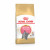 Royal Canin British Shorthair Kitten - Kitten-Katzenfutter - 2 kg