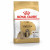 Royal Canin Shih Tzu Adult - Hundefutter - 3 kg