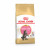 Royal Canin Maine Coon Kitten - Kitten-Katzenfutter - 10 kg