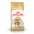 Royal Canin Bengal Adult - Katzenfutter - 2 kg