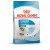 Royal Canin Mini Starter Mother & Babydog - Welpen-Hundefutter - 8 kg