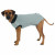 Trixie Operationsweste - Hundehilfsmittel - 62 cm Grau L-XL