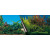 Europet Bernina Rückwandposter Beauty Mit Meer - Aquarium - Rückwand - 80x40 cm