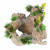Aqua Della Kalkstein - Aquarium - Ornament - 24x20x21,5 cm Grün