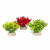 Aqua Della Decor Pflanze Glosso - Aquarium - Kunstpflanze - 9 cm Sortiert