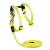 Rogz Alleycat Geschirr Mit Leine - Katzenharness - 24-40 cm Dayglo