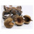 Back Zoo Nature Buddha Nuss - Natürliches Spielzeug - ca. 10-12 cm Xl