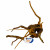 Superfish Spiderwood Braun - Aquarium - Ornament - Klein