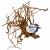 Superfish Spiderwood Braun - Aquarium - Ornament - Medium