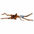 Superfish Spiderwood Braun - Aquarium - Ornament - Xlarge