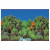 Superfish Deco Poster - Aquarium - Ornament - 150X61 cm Felsen / Pflanze
