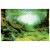 Superfish Deco Poster - Aquarium - Ornament - 100X49 cm Aquascape Pflanze