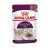 Royal Canin Sensory Multipack Feel - In Soße - Katzenfutter - 12x85 g