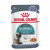 Royal Canin Hairball Care in Gelee - Katzenfutter - 12x85 g