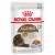 Royal Canin Ageing +12 In Gelee - Katzenfutter - 12x85 g