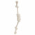 Adori Flostau Baumwolle Weiß - Hundespielzeug - 27 cm