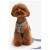 Dogguo Denim Geschirr Denim - Hundegeschirr - S Kleine Hunde