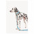 Dogguo Leash - Hundeleine - 23 cm Blau Silber Für Große Hunde M