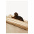 Dogguo Stripe Bed Beige - Hundematratze - L Für Mittelgroße Hunde