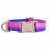 Dogguo Gradient Halsband Lila&Rosa - Hundehalsband - S Kleine Hunde