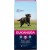 15kg Eukanuba Adult Large Huhn (WEG=WEG, max 2 pro Bestellung)