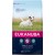 3 kg Eukanuba Adult Small (WEG=WEG, Max. 2 pro Bestellung)