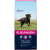 12 kg Adult Large Breed Eukanuba