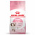 Royal Canin FHN Kitten 10kg
