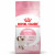 Royal Canin FHN Kitten 4kg