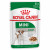 Royal Canin SHN Mini Adult Wet 12x85g