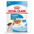 Royal Canin SHN Mini Puppy Wet 12x85g