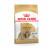 Royal Canin Shih Tzu Adult 1.5kg